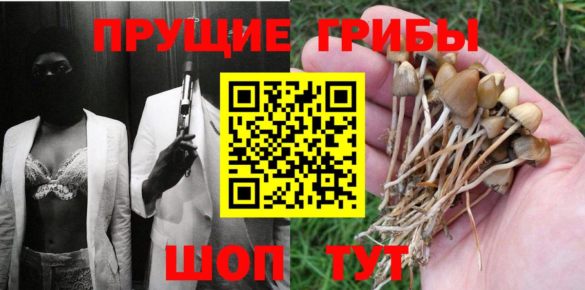 Галлюциногенные грибы MAGIC MUSHROOMS  Вход с VPN  Галлюциногенные грибы Psilocybine cubensis  Дербент 